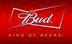 BUD поддержит концертный тур Ивана Дорна